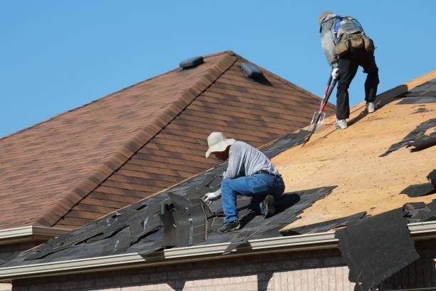 Siding in Berryville, TX